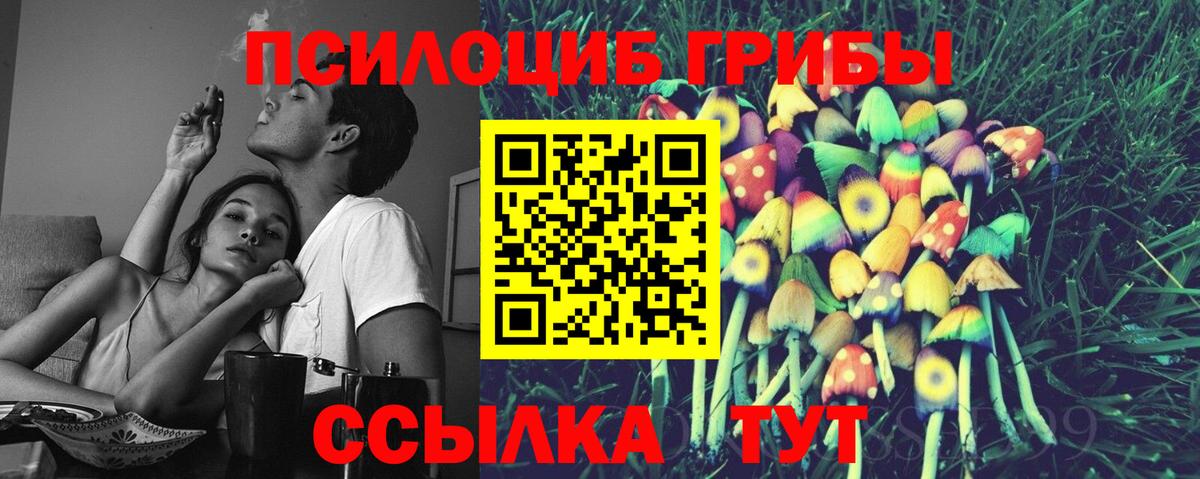 Саянск  Галлюциногенные грибы прущие грибы  Галлюциногенные грибы Psilocybine cubensis  Вход с VPN 